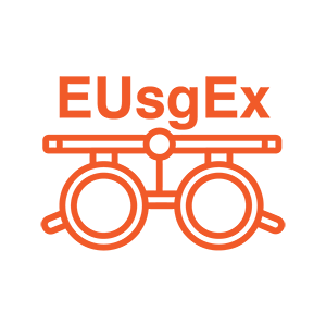 Eye USG Examination